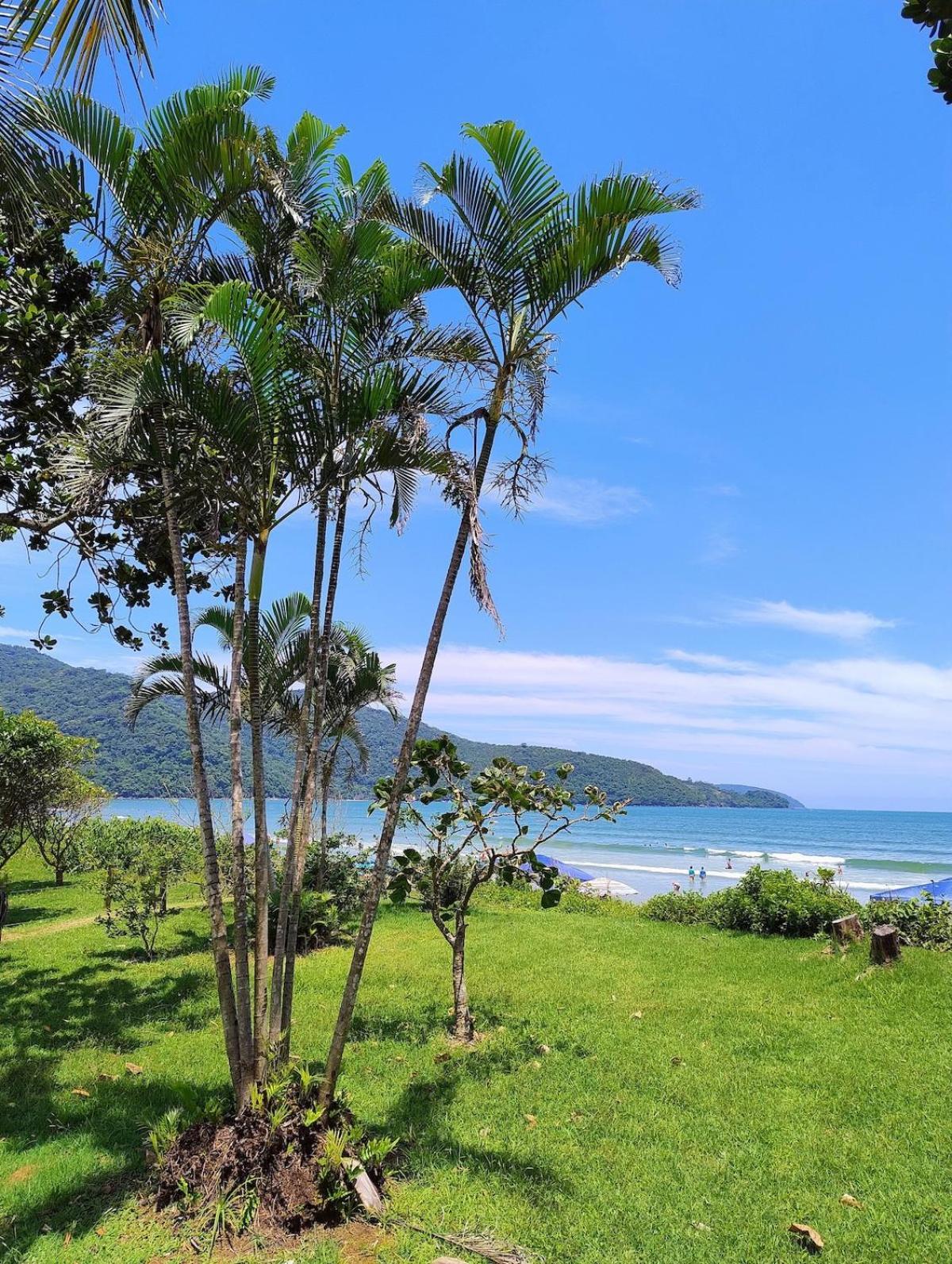 Natuart Chale Com Cozinha Da Lagoinha Ubatuba