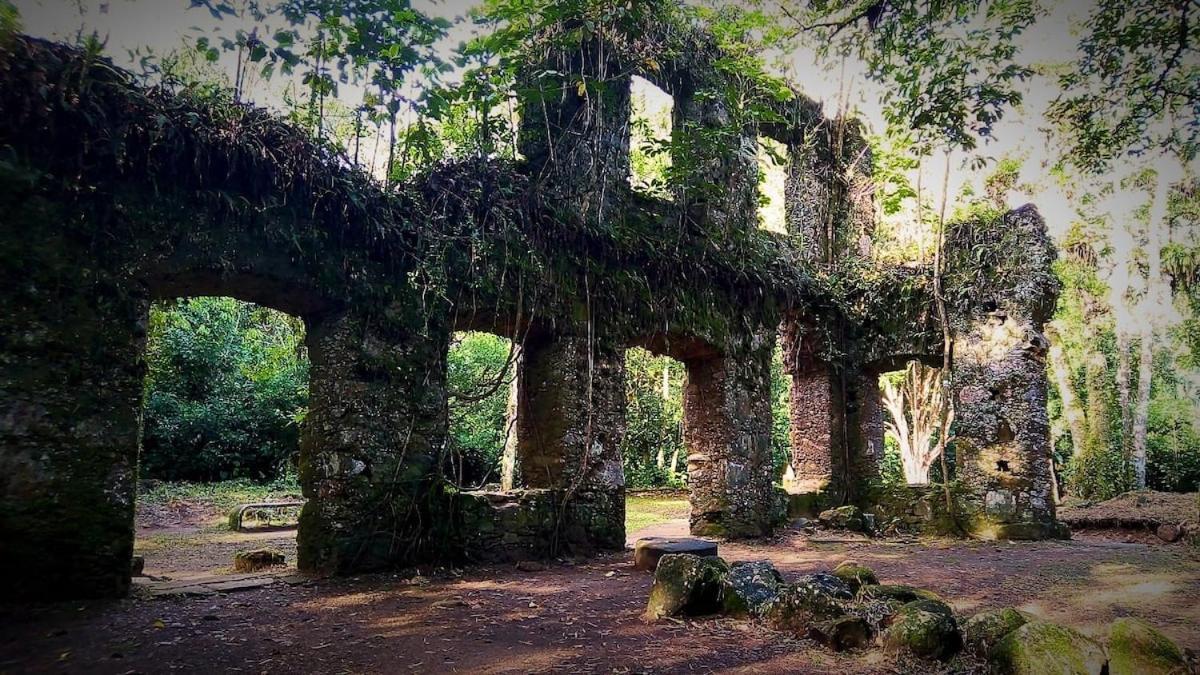 Apartamento Natuart Chale Com Cozinha Da Lagoinha