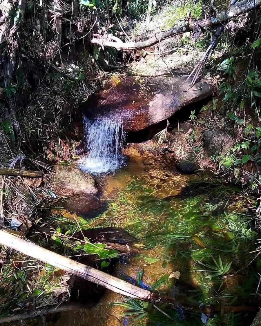 Apartamento Natuart Chale Com Cozinha Da Lagoinha