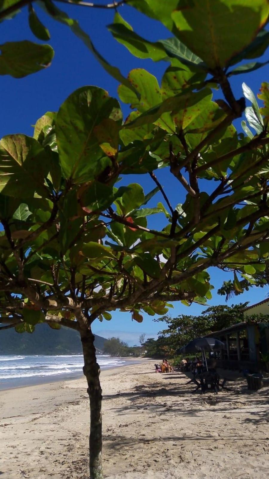 Apartamento Natuart Chale Com Cozinha Da Lagoinha *
